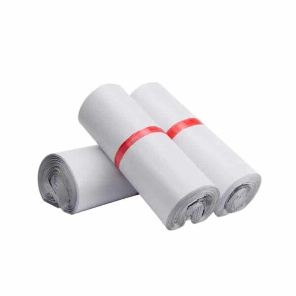 Custom Poly Express Mailing Plastic Courier Shipping Bag - Polysmarts Packaging