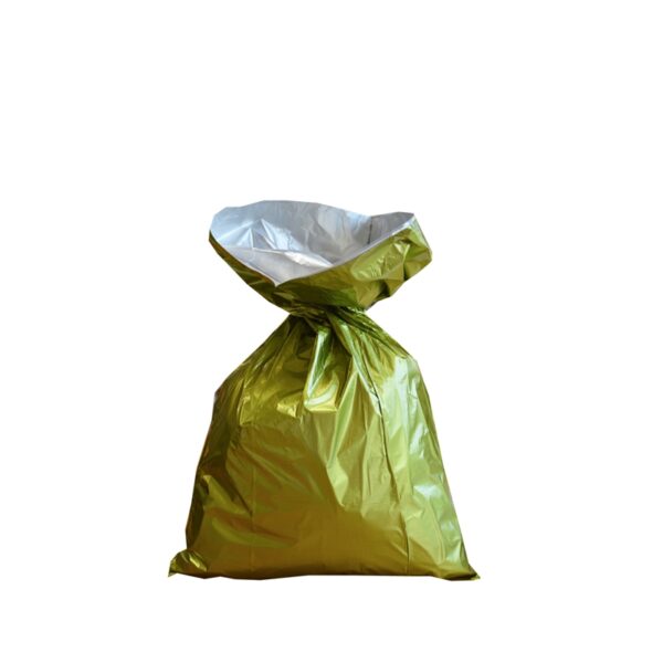 Metallized Gift Bags Green with Inner Lining